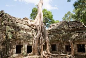 cambodja siem riep angkor wat boom cambodja siem riep angkor wat boom