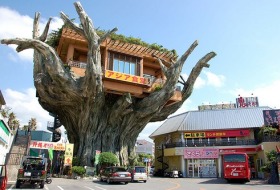 Japan Okinawa art house Japan Okinawa art house