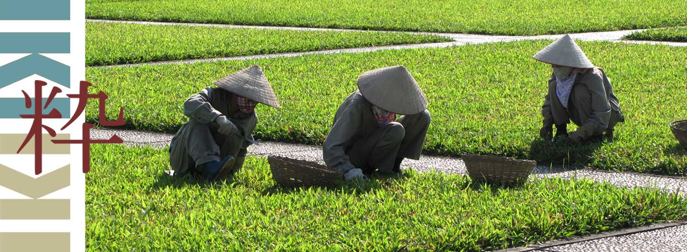 Vietnam Fasipan bouwsteen Sapa Vietnam Fasipan bouwsteen Sapa