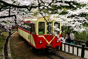 familiereis Taiwan Reis Alishan Train familiereis Taiwan Reis Alishan Train