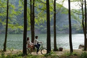 Nami Island Zuid-Korea Nami Island Zuid-Korea