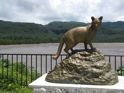 Okinawa Iriomote Kat Standbeeld