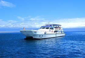 Taipei Dolfijn Spotten Boot Taipei Dolfijn Spotten Boot