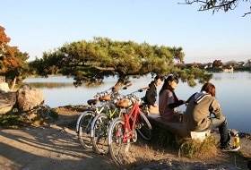 Arashiyama Kyoto Fietstocht Excursie Arashiyama Kyoto Fietstocht Excursie