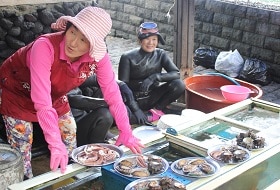 Zuid Korea, Jeju, Haenyeo Duiksters Zuid Korea, Jeju, Haenyeo Duiksters