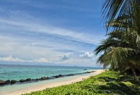 Borneo Palmbomen En Zee Borneo Selingan strand met palmen